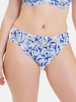 Culotte dentelle et microfibre Arum
