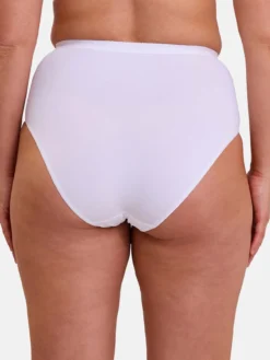 Gaine culotte ventre plat Perfect Lift