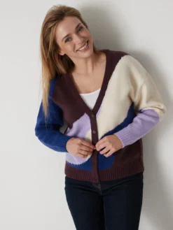 GIlet V colorblock