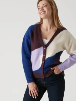 GIlet V colorblock