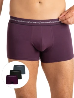Lot de 3 boxers Business