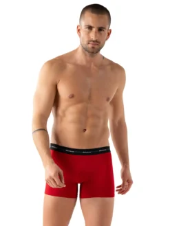 Lot de 3 boxers Coton