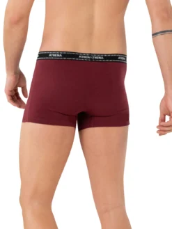 Lot de 3 boxers fermés