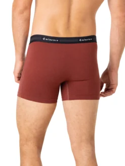 Lot de 3 boxers Taylor