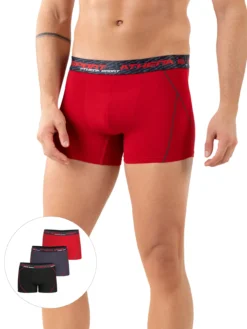 Lot de 3 boxers Training Dry