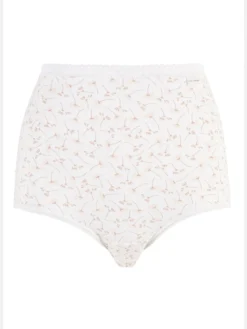 Lot de 2 culottes hautes Classique Coton