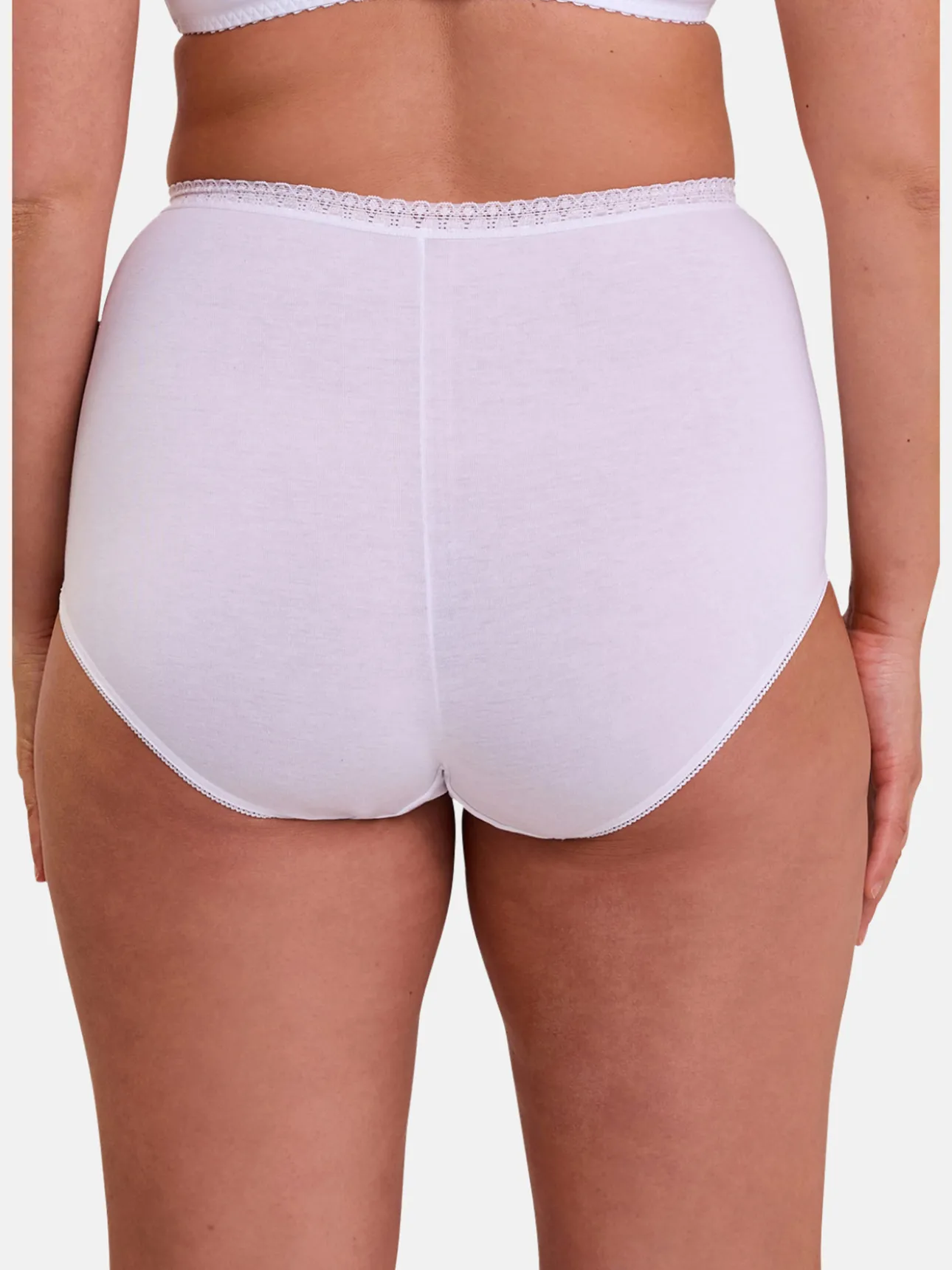 Lot de 2 culottes hautes Classique Coton