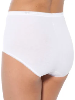 Lot de 3 culottes maxi + 1 gratuite