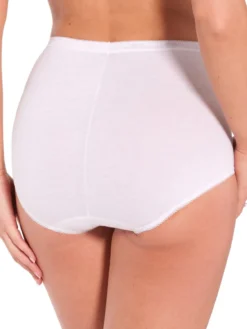Lot de 4 culottes maxi + 2 gratuites