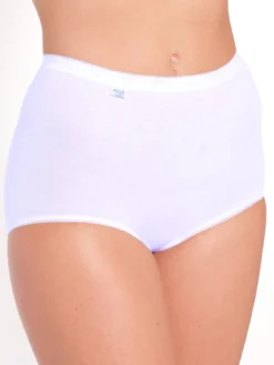 Lot de 4 culottes maxi + 2 gratuites
