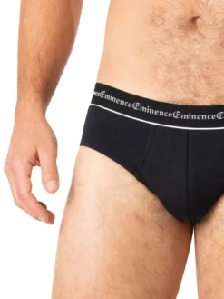 Lot de 3 slips Business