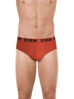 Lot de 3 slips coton stretch