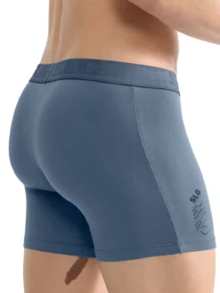Lot de 2 slips SLG Base Soft