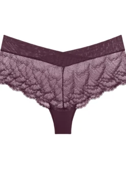 Shorty Love in Lace