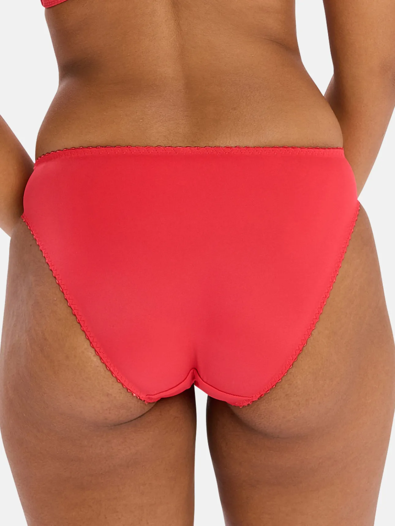 Slip Narcisse microfibre brodée