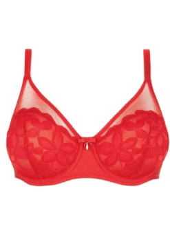 Soutien-gorge à armatures dentelle